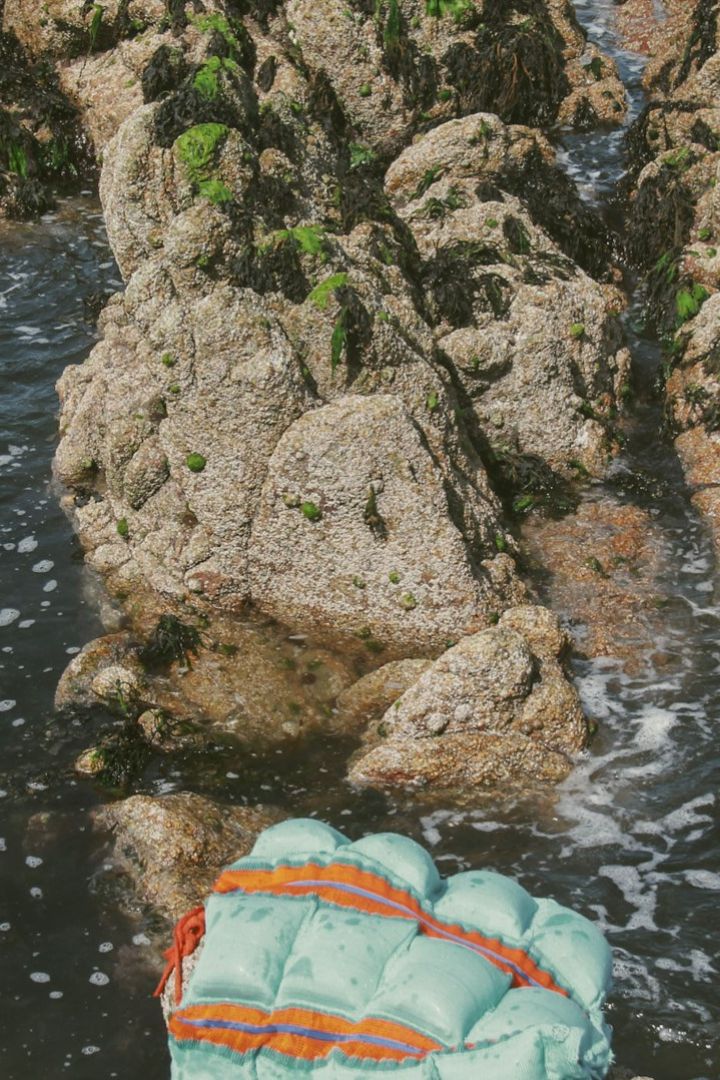 Aoife Ní Ghallchóir