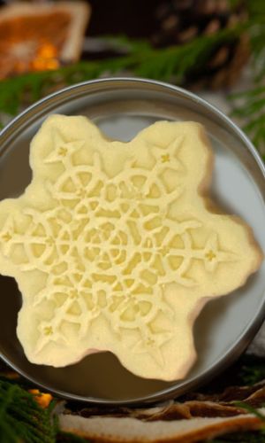 Ailceimic an Dúlra – Port Láirge